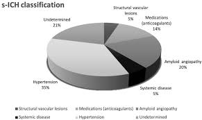 Image result for Hemorrhage Classification