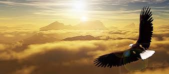 They will run and not grow weary, they will walk and not be faint. On Wings Like Eagles Pure Devotion