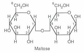 Monomers And Polymers Biology Socratic