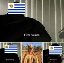 ¿quién la deducción que hacen es que si los canguros deciden invadir uruguay, a cada uruguayo le toca pelear con 14 canguros. Music Cine Dance Legazcue Maestro Y Prof Filosofia Y Literatura Universal Humor Si Nos Invaden Los Canguros Australianos Que Pasaria Tw