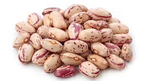 Check spelling or type a new query. Mengenai Jenis Dan Jenis Kacang Apa Yang Ada Teknologi Pertanian Untuk Menanam Tanaman Kekacang