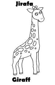 Animais Para Colorir Desenhos Desenhos Animados