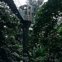 Located in the heart of the city, this nature reserve is the perfect get away from all the hustle and bustle. Taman Eko Rimba Kl Kl Forest Eco Park Medan Idaman 3 Tipps Von 354 Besucher