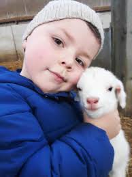 In pictures: spring is in the air