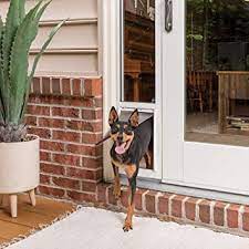 You're thinking it might be the ideal place to insert a pet keep in mind that installing a dog door for glass doors is not a diy task. Petsafe Sliding Glass Cat And Dog Door Insert Great For Rentals And Apartments No Cutting Diy Installation Medium Amazon Co Uk Pet Supplies