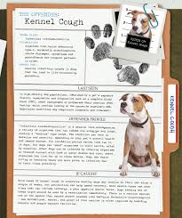 Out Of Breath Petplan Clears The Air On Kennel Cough Pet Health Dog Coughing Dog Wellness