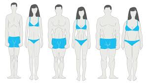 Browse 266,685 female body stock photos and images available, or search for female body silhouette or female body builder to find more great stock photos and pictures. Body Types How To Exercise And Eat For Your Body