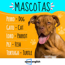 Cómo Se Dice Camarero En Inglés?