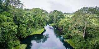 The republic of the congo (pronunciation french: Drc Congo Basin Forests Threatened By 19 Oil Blocks Afrik 21