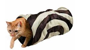 Si amas a tu mascota , ésto te puede interesar: 10 Juegos Para Entretener A Mi Gato Showroom