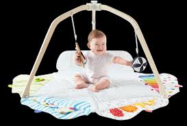 The Play Gym Baby Activity Tummy Time Mat Lovevery