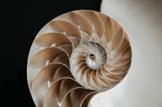 The Nature of Wholeness Training Circle—Pathway to Power
