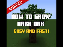 First, you need to uncover a dark oak tree in your minecraft civilization. How To Grow Dark Oak Tree Minecraft Youtube