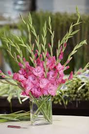 A Beautiful Arrangement Of Cagrown Gladiolus From Calglads Vase By Gladiolus Flower Flower Arrangements Fresh Flowers Arrangements