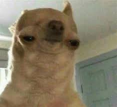 Flexair episode 1 + 2 + 3+ 4 + 5 60 fps 1080p (full version) the end. 1080x1080 Meme Dog Drone Fest