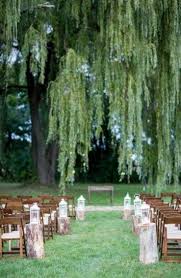 19 Trendy Weeping Willow Tree Wedding Decor In 2020 Tree Wedding Ceremony Willow Tree Wedding Wedding Tree Decorations