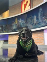 Anchoring with these guys is my joy today. Tune in at 5:30 for more! Adam  Clements Local 12 News Meteorologist John Gumm LOCAL 12, WKRC-TV