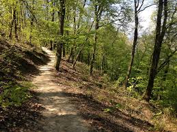 World heritage site · wildlife area. Nature Photo Hungary Free Image On Pixabay