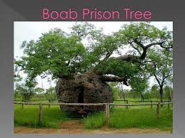 We did not find results for: Ppt Trees In Photography Powerpoint Presentation Free Download Id 1541849
