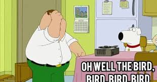 Bird Bird Bird Bird Is The Word Peter Griffin Via Giphy Family Guy Cartoon Family Guy 500 Word Essay