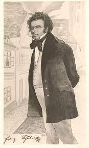 schubert montiert 400x667 jpg 400 667 pixels classical music classical opera music composers