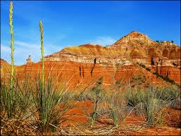 Rent one of our pavilions for a wedding, reunion or meeting. Palo Duro State Park A Texas State Park Located Near Amarillo Canyon