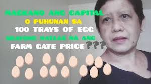 MAGKANO ANG CAPITAL O PUHUNAN SA 100 TRAYS OF EGG NGAYONG MATAAS NA ANG  FARM GATE PRICE?