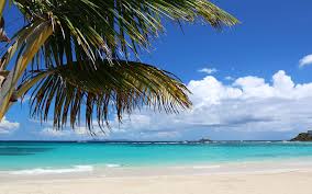 Find the best avengers hd wallpapers 1080p on getwallpapers. Tropical Beach Ocean Palm Trees Hd Wallpaper Nature And Landscape Wallpaper Better