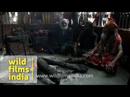 India is a country known for its richest culture and diversity. Mysterious Hindu Sect Conducts A Strange Evil Ritual Youtube