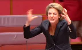 Michaelia cash getting grilled by the senate about her corruption and obsession with destroying michaelia cash cuts dv funding so domestic violence victims have nowhere to go and remain trapped. I Believe In Men The Australian Independent Media Network