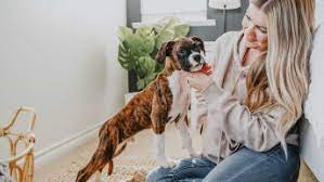 We recommend starting a puppy's these are specially structured classes that focus on the importance of safe socialization first. The Best Tips For New Puppy Owners Now Fresh