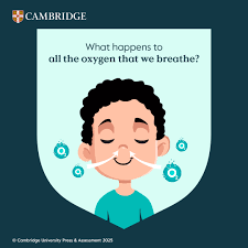 Join Ajay Dalmia, an experienced educator and Director-Founder of DLRC, as  he shares valuable insights