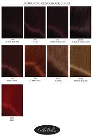 49 Qualified Hair Extension Color Number Chart