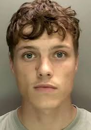 Part of me died at the same time' Mum's tribute to son as killer handed  life sentence over machete murder