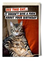 Best 26 Cat Birthday Meme Happy Birthday Cat Funny Happy Birthday Meme Sarcastic Happy Birthday