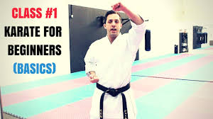 martial arts for beginners lesson 1