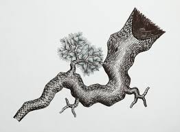 Lee Gil Rae Pine Tree