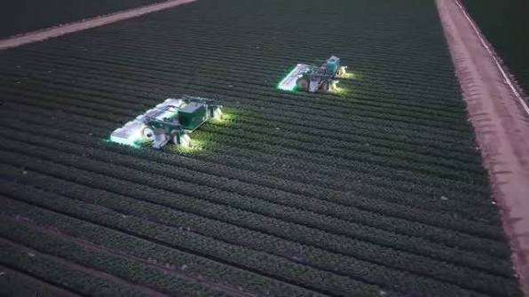 Watch | UV-Powered Robots Revolutionise Strawberry Farming in California A  viral video shows two large autonomous robots moving through a California  strawberry field at night, using UV light instead of chemicals to
