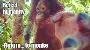 Reject humanity, return to monke. Reject Humanity Return To Monke Youtube