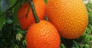 Pin On Exotic Vegetable Fruits