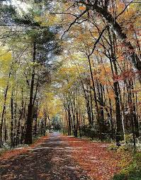 Irvine Park Zoo Chippewa Falls Irvine Park Chippewa Falls Chippewa Falls Wisconsin