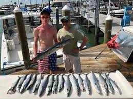 Maybe you would like to learn more about one of these? Holy Mackerel Picture Of Daisy Mae Fishing Charters Dunedin Tripadvisor