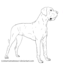 Great Dane Lineart Free Use By Okamiamaterasu1 On Deviantart Great Dane Dog Drawing Dane
