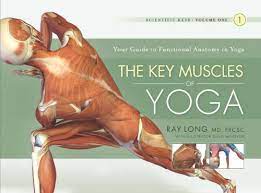 13 benefits of yoga that are supported by science written by rachael link, ms, rd on august 30, 2017 derived from the sanskrit word yuji, meaning yoke or union, yoga is an ancient practice. The Key Muscles Of Yoga Scientific Keys Volume I English Edition Ebook Long Md Frcsc Ray Macivor Chris Amazon De Kindle Shop