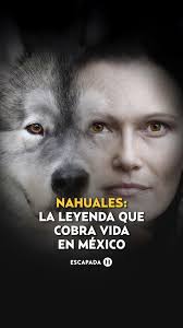 Mucho frío? 🥶 Como todo buen #mexa seguramente alguna vez te has abrigado  con una buena cobija de tigre 🐅pero… ¿sabías que desde 2004 se dejaron de  producir? ¡Te contamos más! |