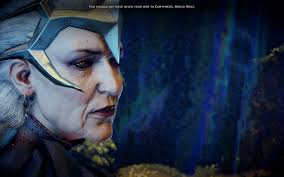 Dumped, Drunk and Dalish: Castles, Fennecs, and Player Engagement (Talking  with the Weekses, Part 4)