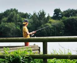 La mayenne 100% noël ! Location De Vacances Mayenne Gites De France