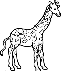 Be sure to check out our big collections of animal coloring pages, including this set of 100 animal coloring pages, and our zoo coloring pages. Giraffe Pictures To Color
