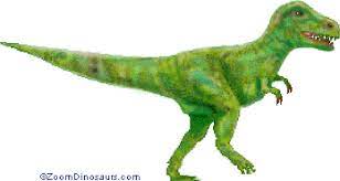 Displayed at the american museum. T Rex Enchantedlearning Com