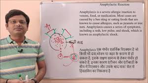 Anaphylaxis is a severe allergic reaction that requires urgent medical attention. Anaphylaxis Reaction Definition Of Anaphylaxis Reaction Hindi Youtube